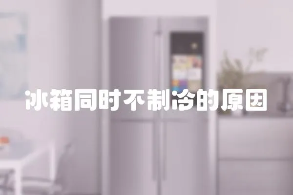 冰箱同時不制冷的原因