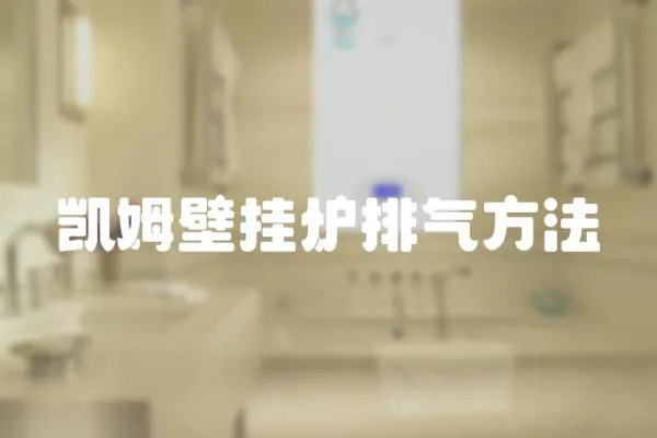 凱姆壁掛爐排氣方法