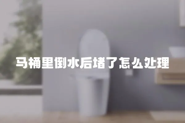 马桶里倒水后堵了怎么处理