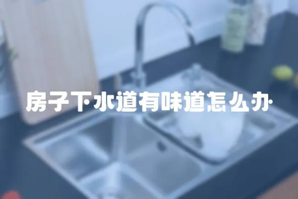 房子下水道有味道怎么辦
