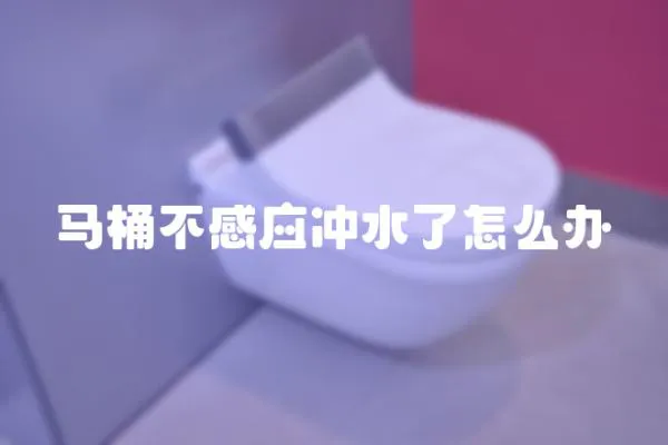 馬桶不感應沖水了怎么辦