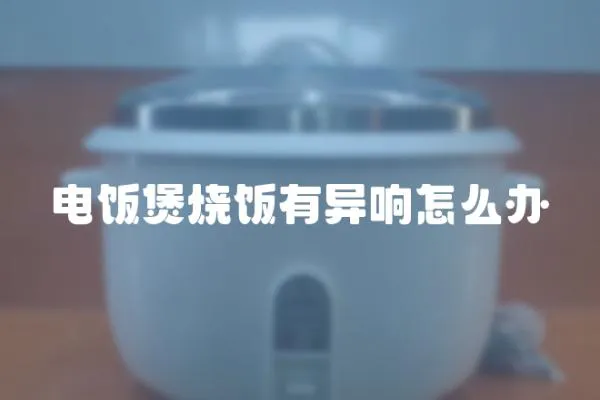 電飯煲燒飯有異響怎么辦