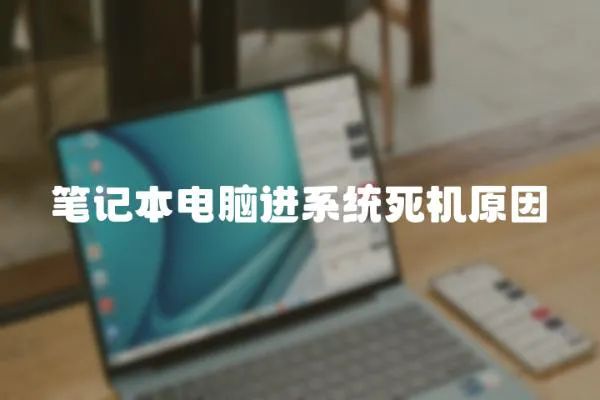 筆記本電腦進系統死機原因