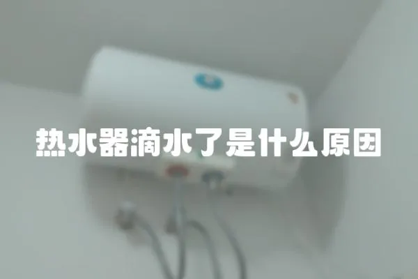 熱水器滴水了是什么原因
