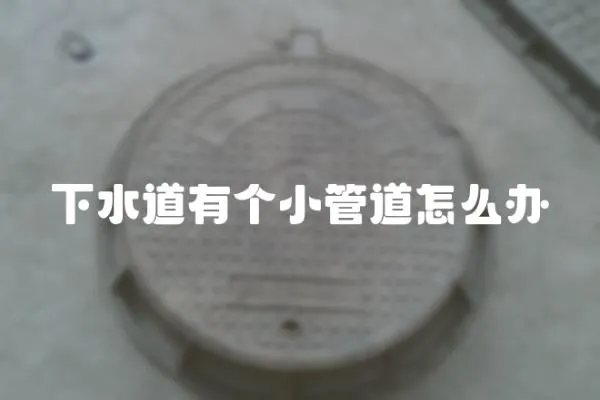 下水道有個小管道怎么辦