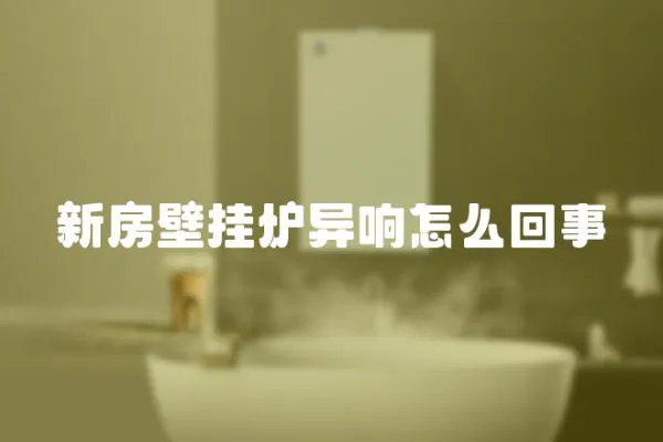 新房壁掛爐異響怎么回事