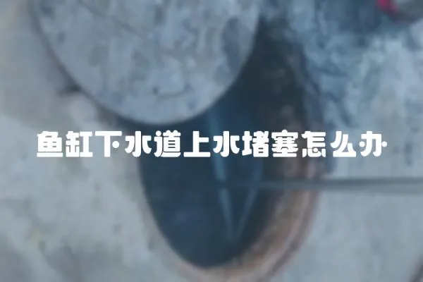 魚缸下水道上水堵塞怎么辦