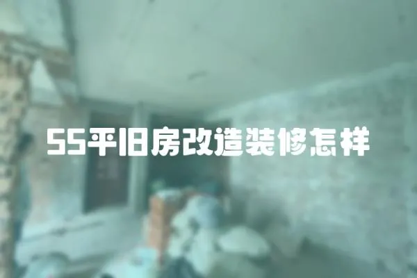 55平舊房改造裝修怎樣