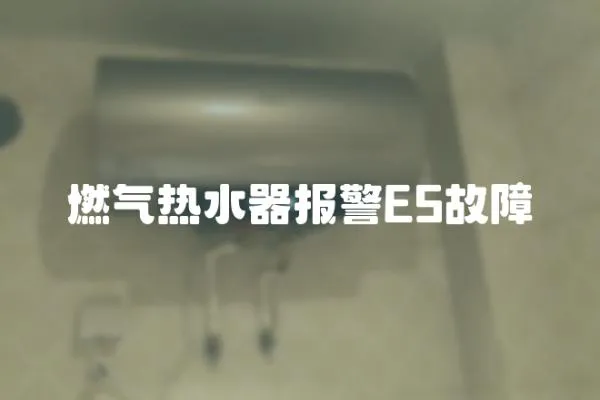 燃氣熱水器報警E5故障