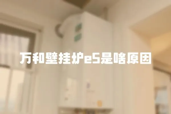萬和壁掛爐e5是啥原因