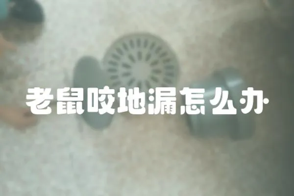 老鼠咬地漏怎么辦
