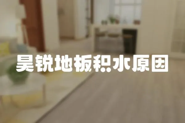 昊銳地板積水原因