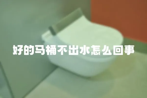 好的馬桶不出水怎么回事
