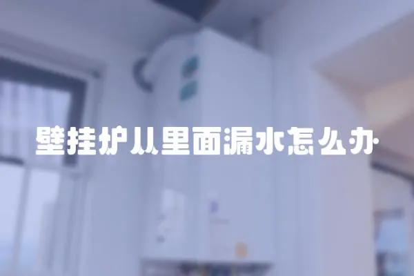 壁掛爐從里面漏水怎么辦