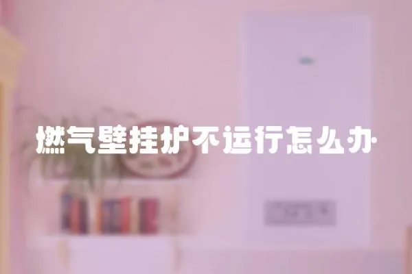 燃氣壁掛爐不運行怎么辦