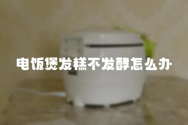 電飯煲發糕不發酵怎么辦