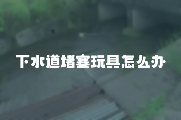 下水道堵塞玩具怎么辦