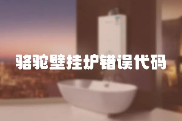 駱駝壁掛爐錯誤代碼