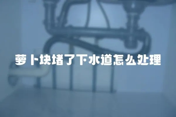 蘿卜塊堵了下水道怎么處理