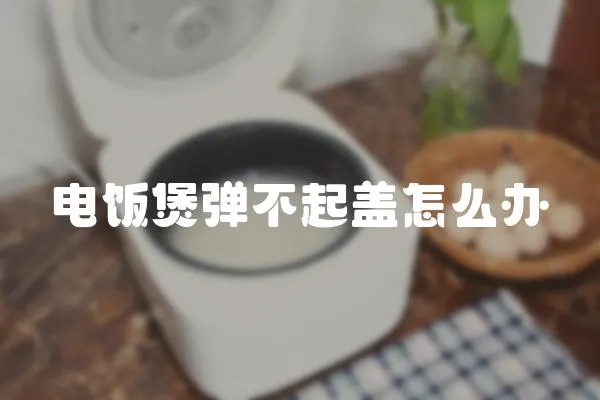 电饭煲弹不起盖怎么办