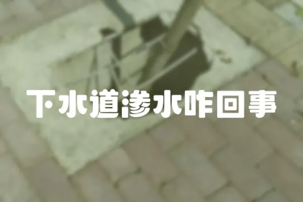 下水道滲水咋回事