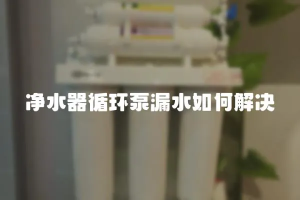 净水器循环泵漏水如何解决