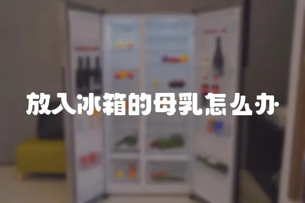 放入冰箱的母乳怎么辦