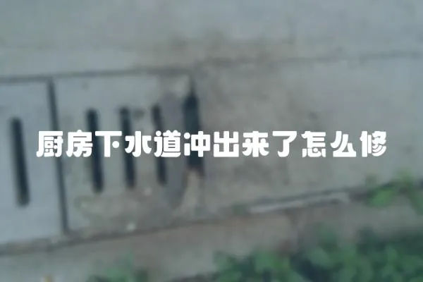 廚房下水道沖出來了怎么修
