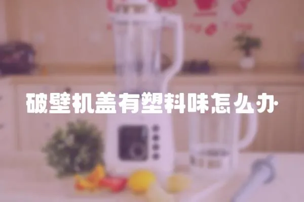 破壁機蓋有塑料味怎么辦