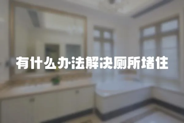有什么辦法解決廁所堵住