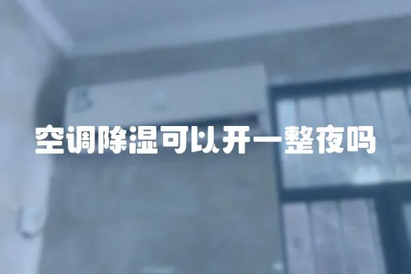 空調(diào)除濕可以開一整夜嗎