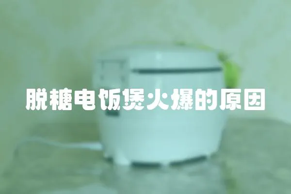 脫糖電飯煲火爆的原因