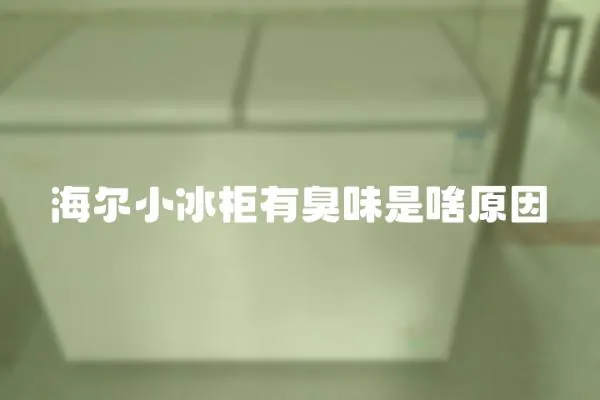 海爾小冰柜有臭味是啥原因