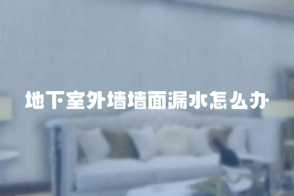 地下室外墻墻面漏水怎么辦