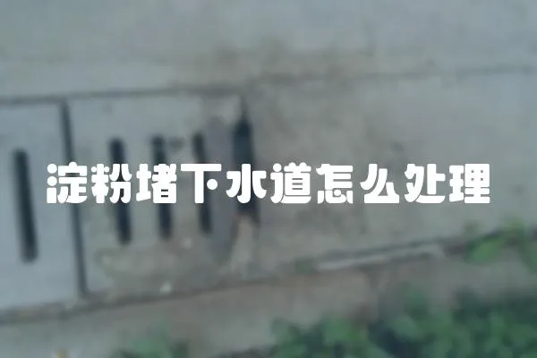 淀粉堵下水道怎么處理