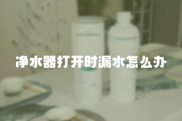 凈水器打開時漏水怎么辦