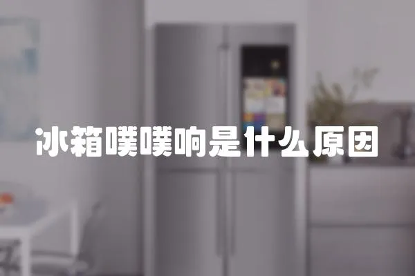 冰箱噗噗響是什么原因
