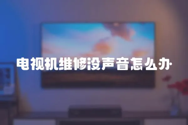 电视机维修没声音怎么办