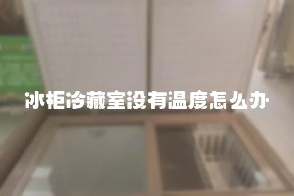 冰柜冷藏室沒有溫度怎么辦