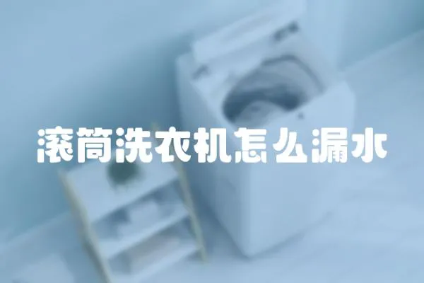 滾筒洗衣機(jī)怎么漏水