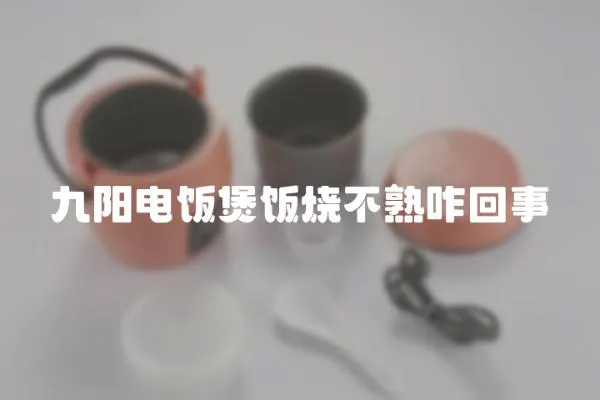 九陽電飯煲飯燒不熟咋回事