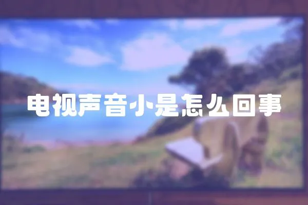 電視聲音小是怎么回事