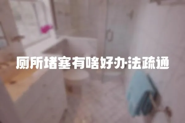 廁所堵塞有啥好辦法疏通