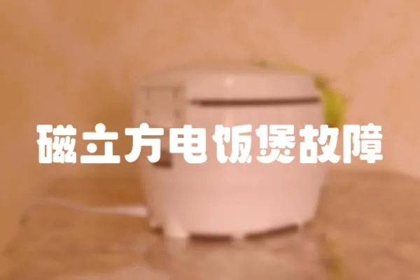 磁立方電飯煲故障