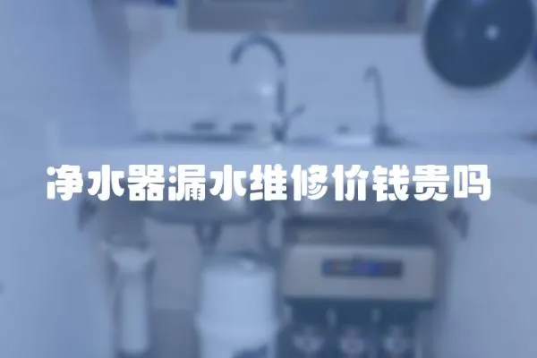 凈水器漏水維修價錢貴嗎