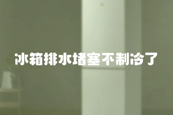 冰箱排水堵塞不制冷了