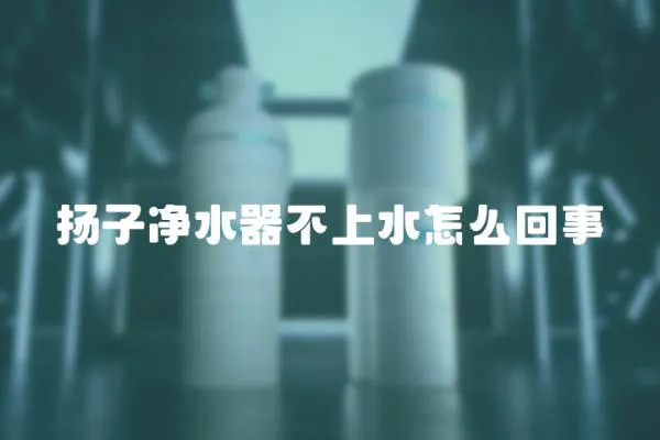 揚(yáng)子凈水器不上水怎么回事