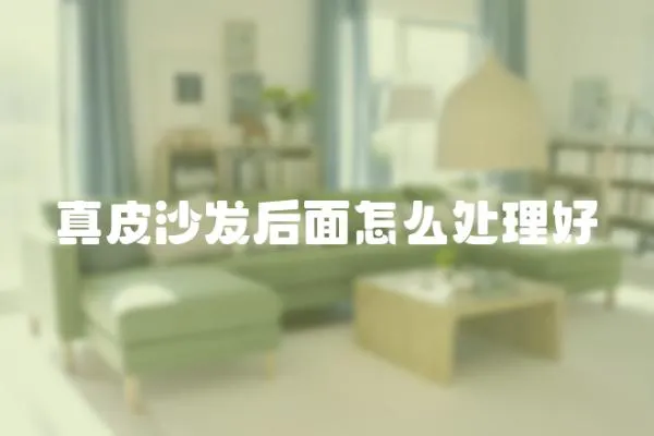 真皮沙發(fā)后面怎么處理好