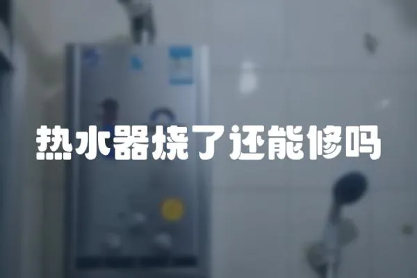 熱水器燒了還能修嗎