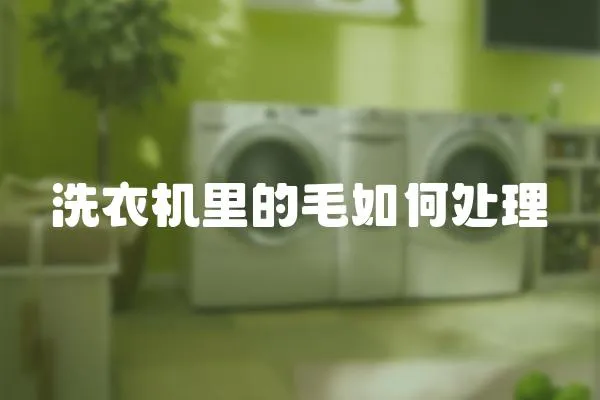 洗衣機(jī)里的毛如何處理